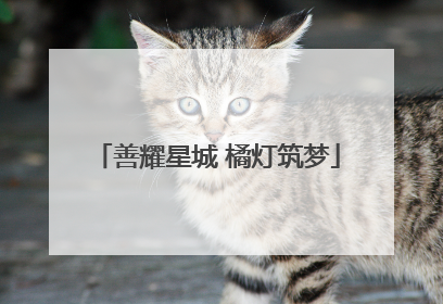 善耀星城 橘灯筑梦